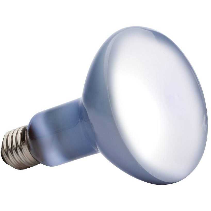 Daylight Basking Spot Lamp O3543