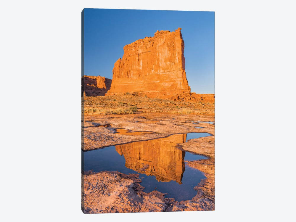 Canvas Wall Decor Prints T4026