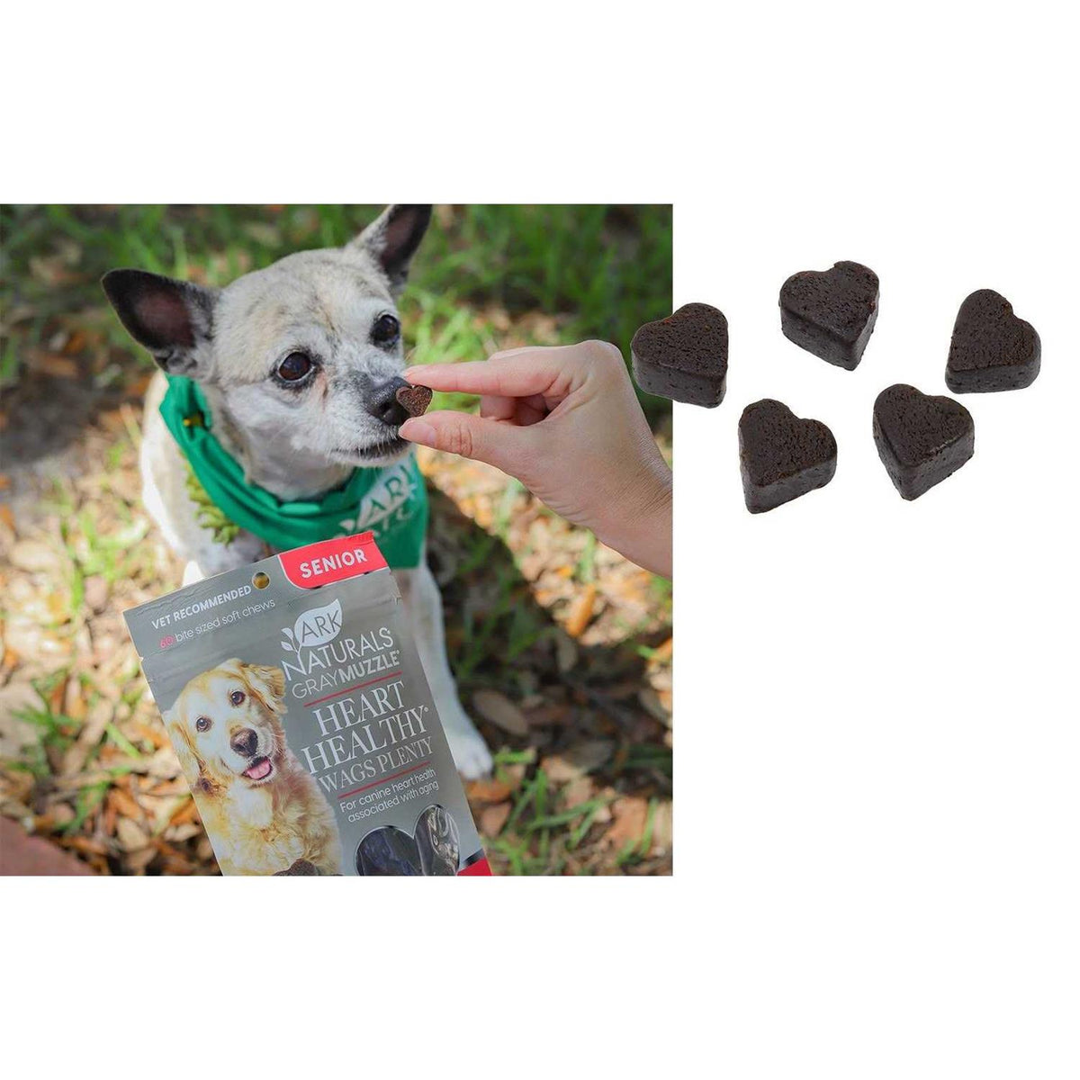 Heart Healthy Pet Supplies J6060
