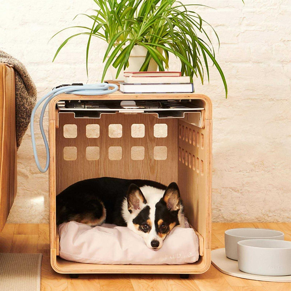 Pet Crate Gate D826