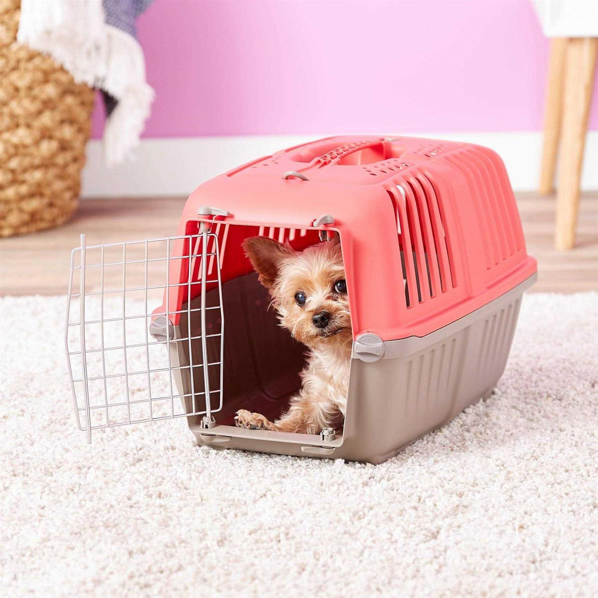 Plastic Pet Carrier N958316