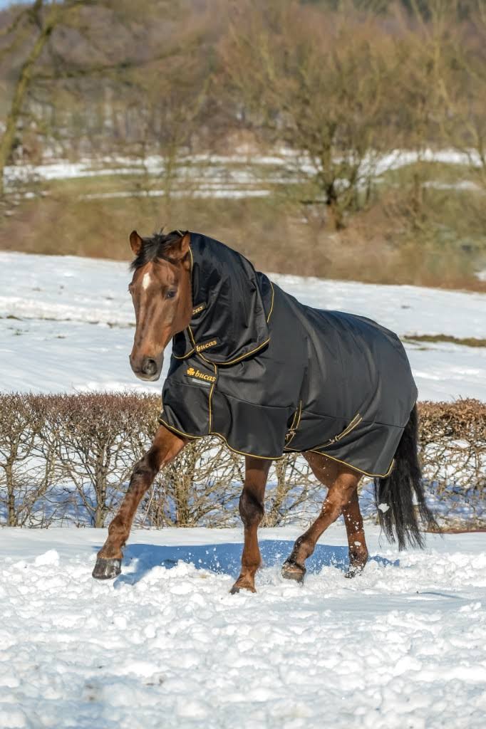 Black Turnout U2928