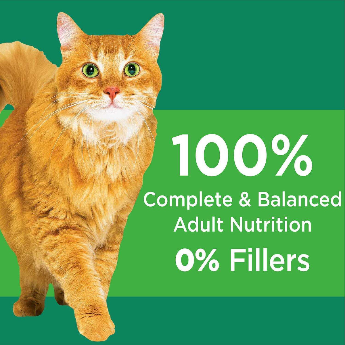 Senior Dry Cat Food F56632