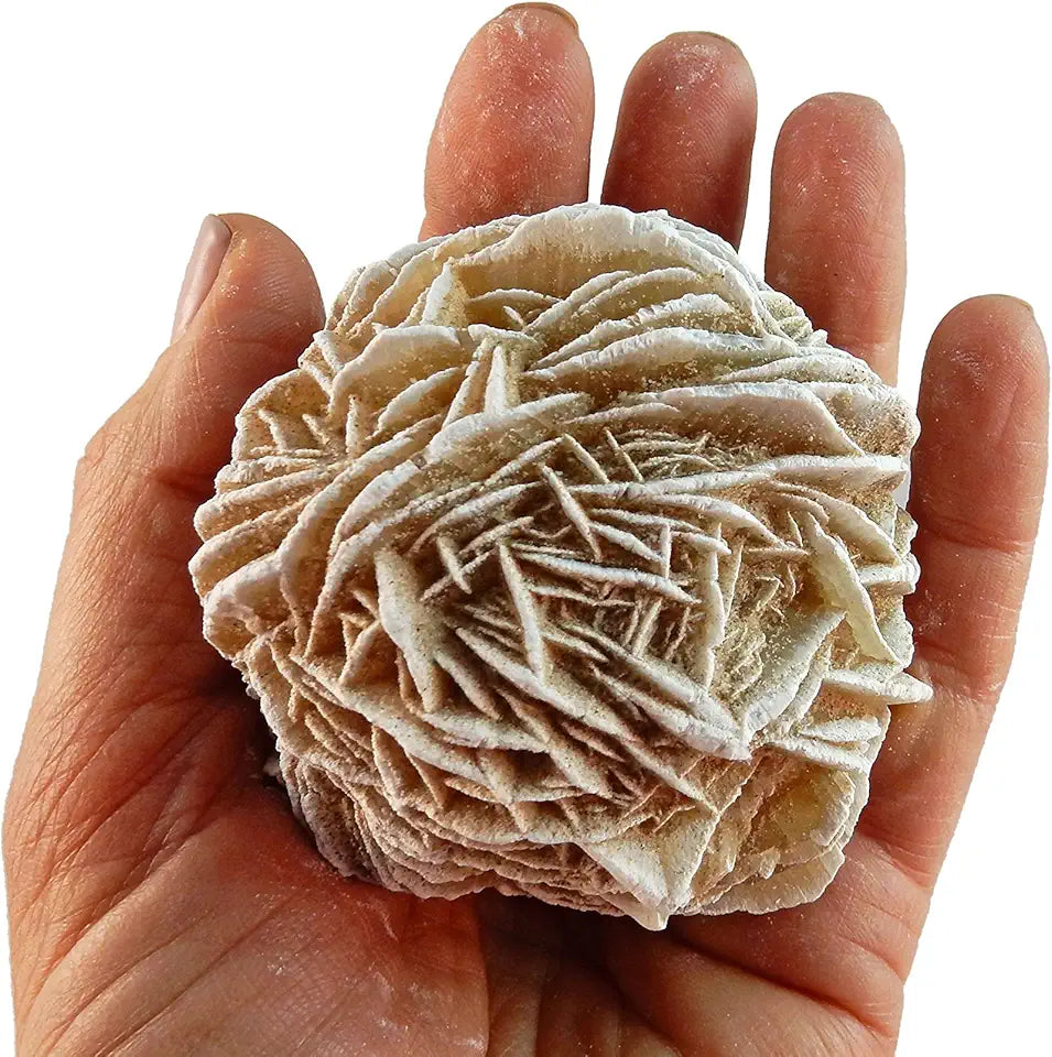 Set of 5 Raw Selenite Crystal Stones N5553
