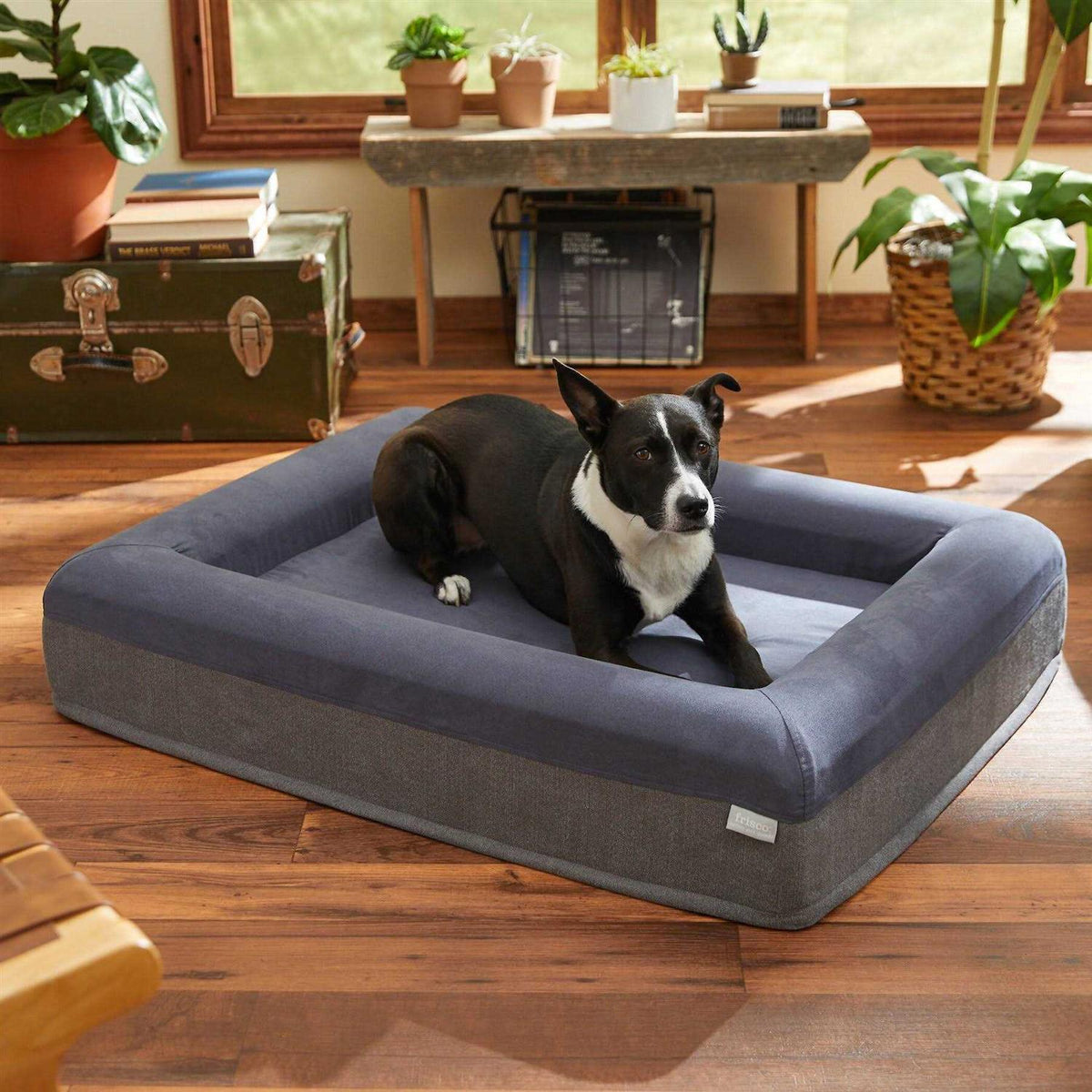 Orthopedic Rectangular Bolster Cat Dog Bed E89775