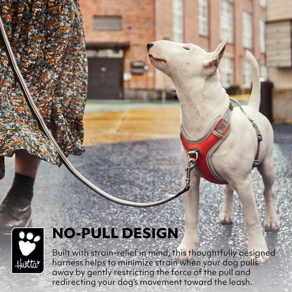 No-Pull Dog Harness D110