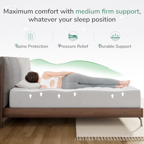 12 Inch Full Size Memory Foam Mattress with Removable Washable Cover S337