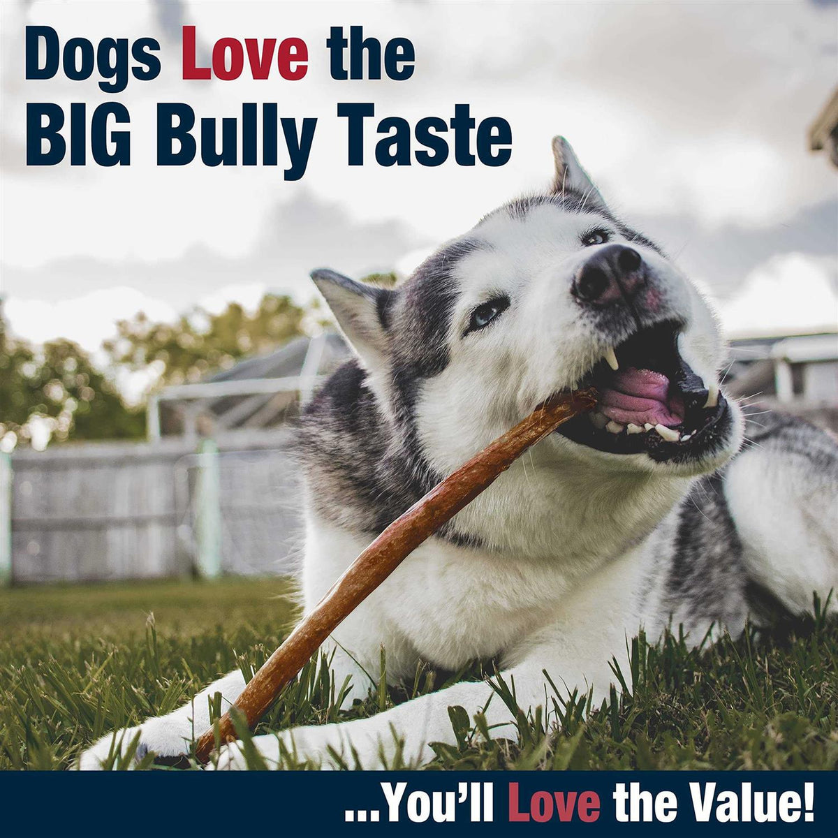 All-Natural Dog Chews A72428