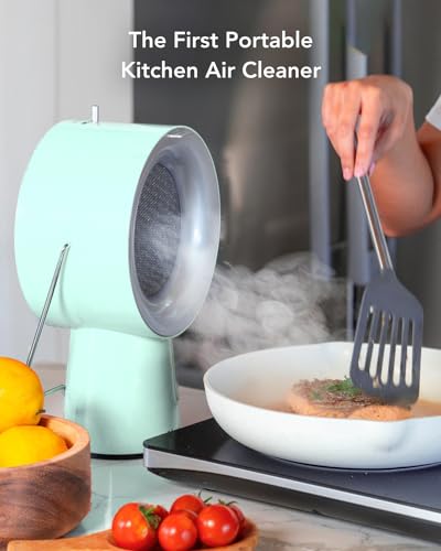 Portable Kitchen Exhaust Fan with 5 Activated Charcoal Air Filters B802219