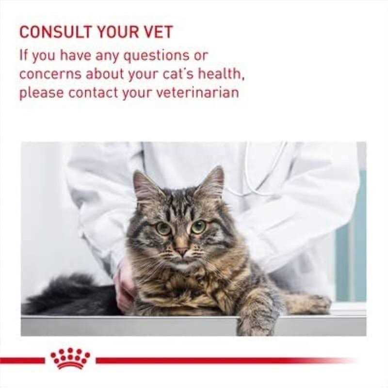Wet Cat Food A56664