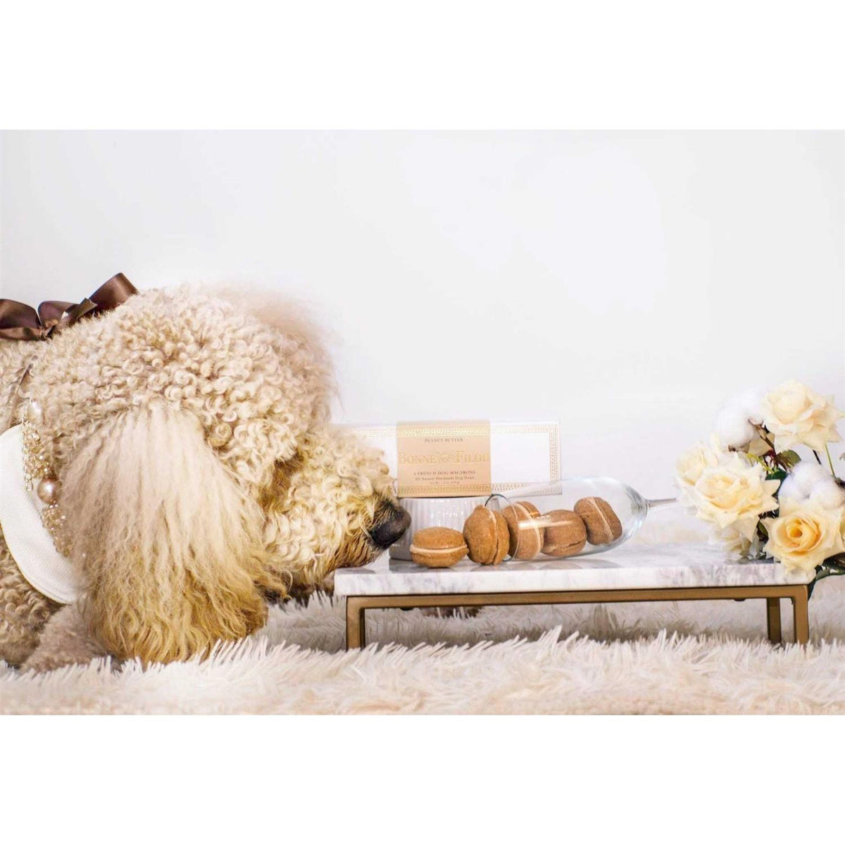Dog Macarons L713061