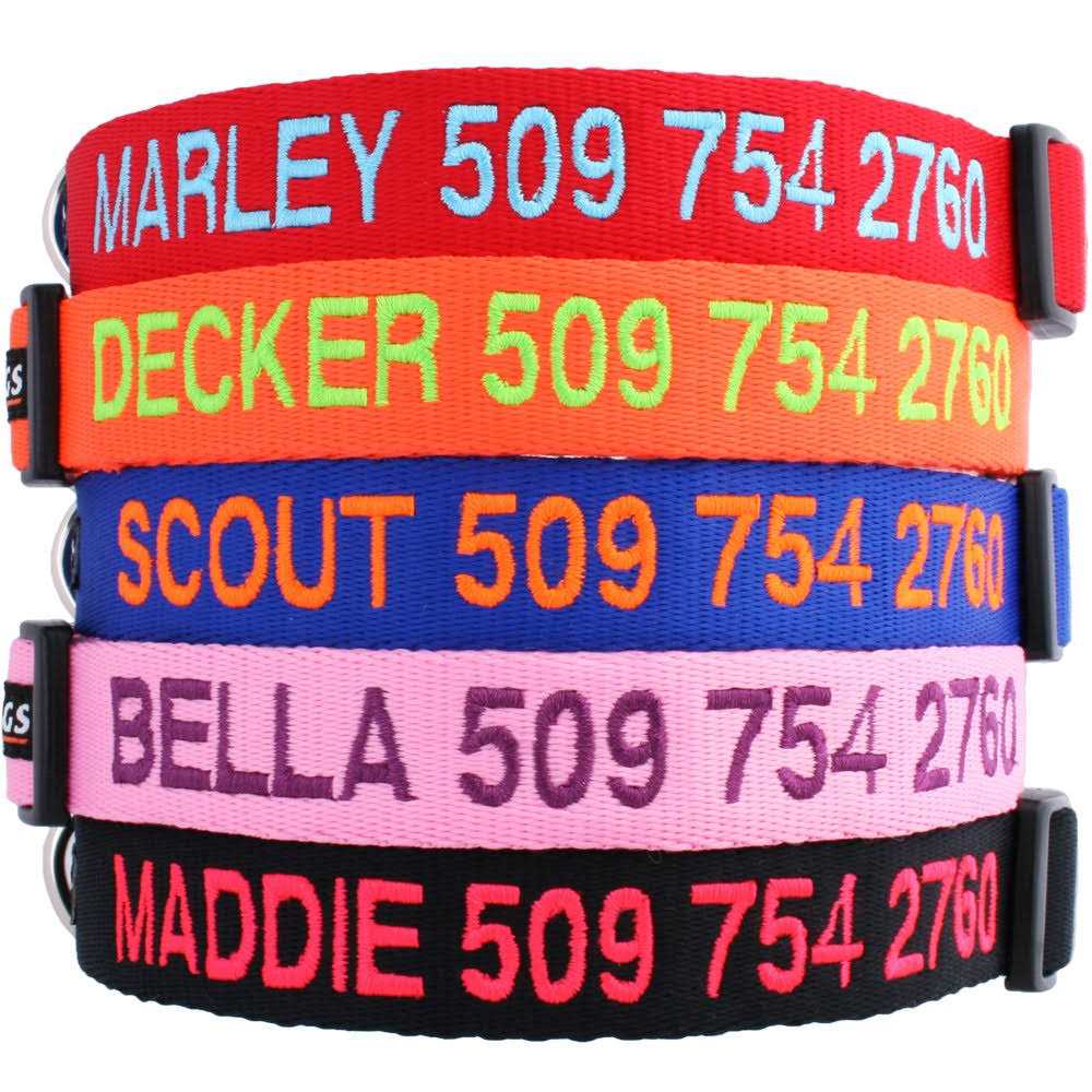 Personalized Dog Collar I348