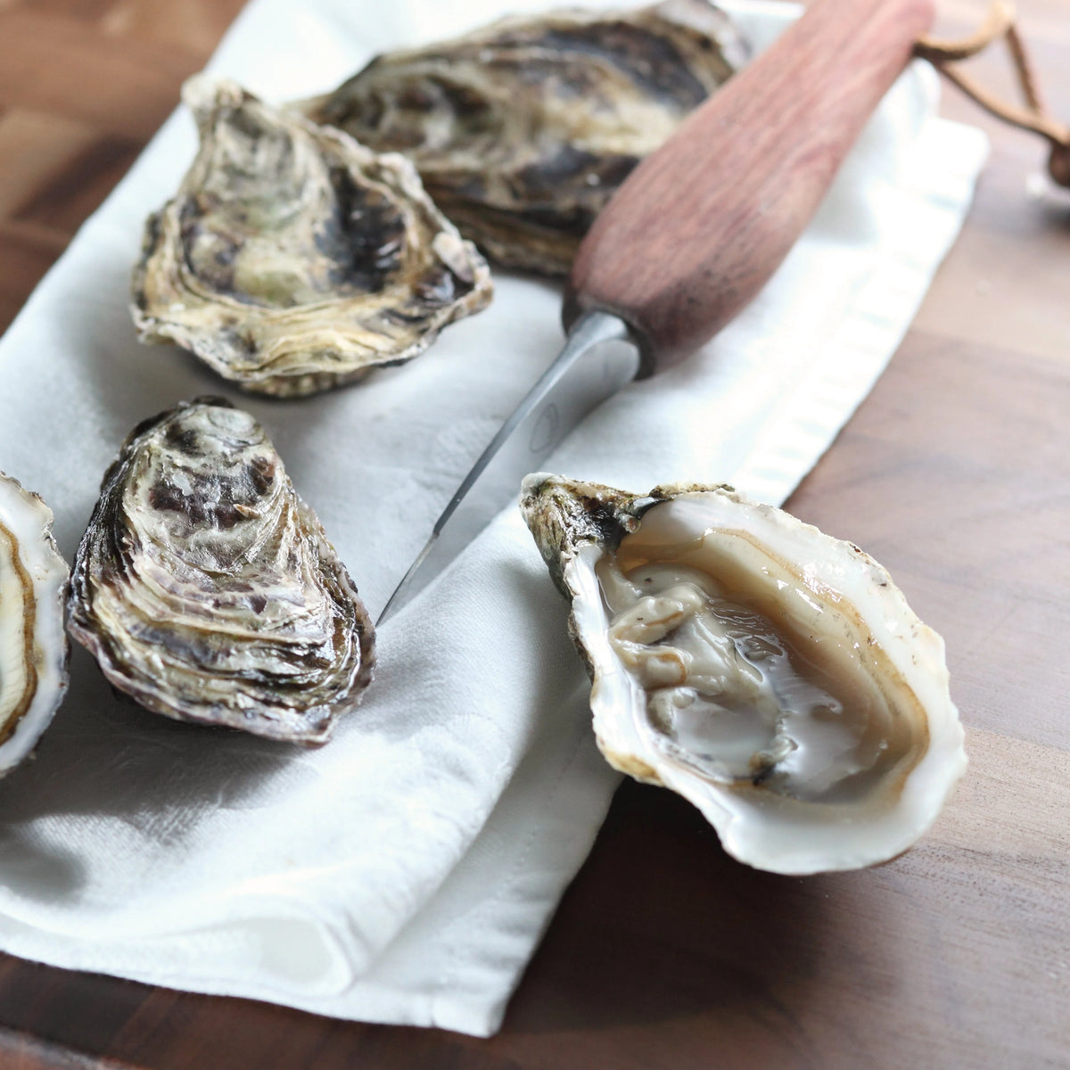 Petite Oysters 50 Pcs F713745