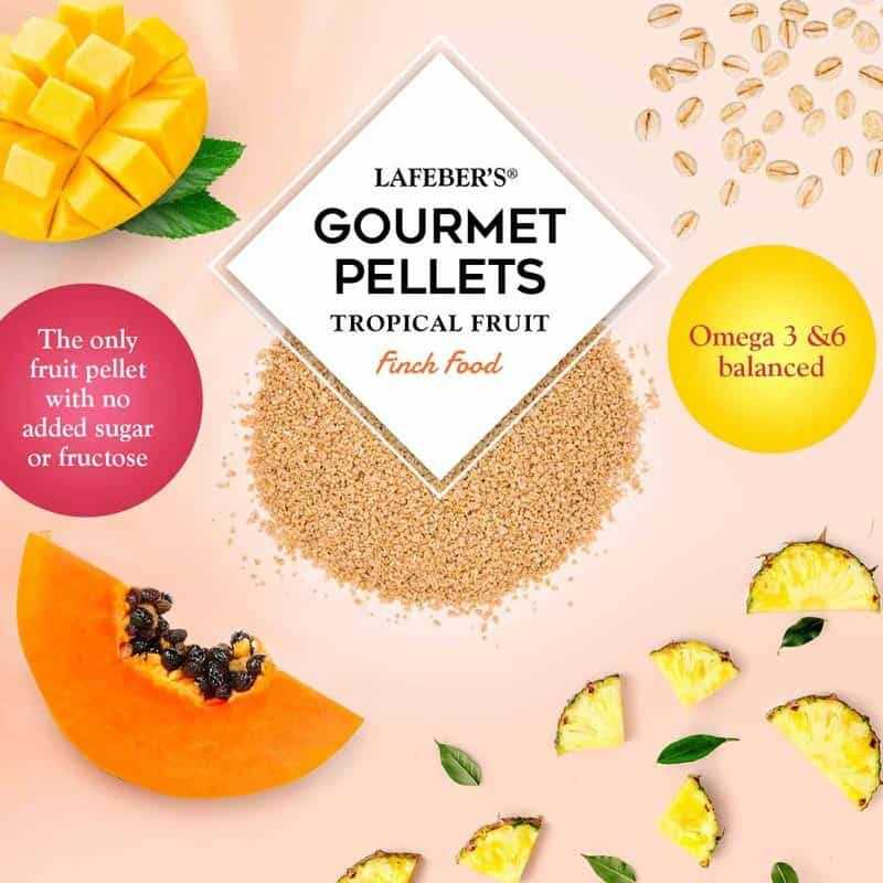 Tropical Fruit Bird Food M22636