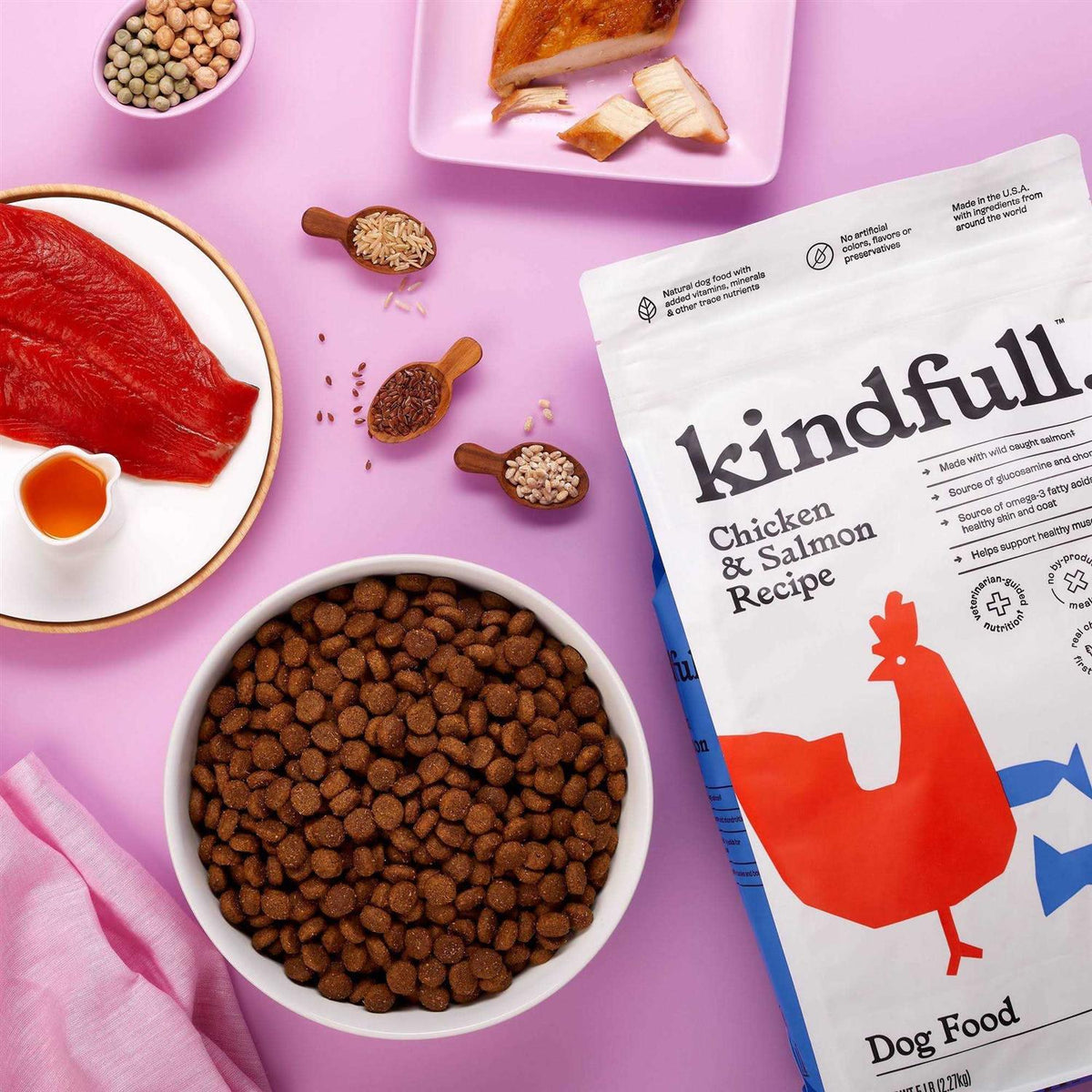 Chicken and Salmon Recipe Dry Dog Food N309