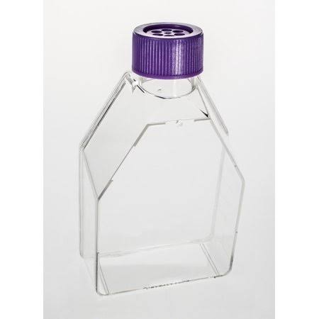 Tissue Culture Flask, 12.5cm2, Vent Cap D716