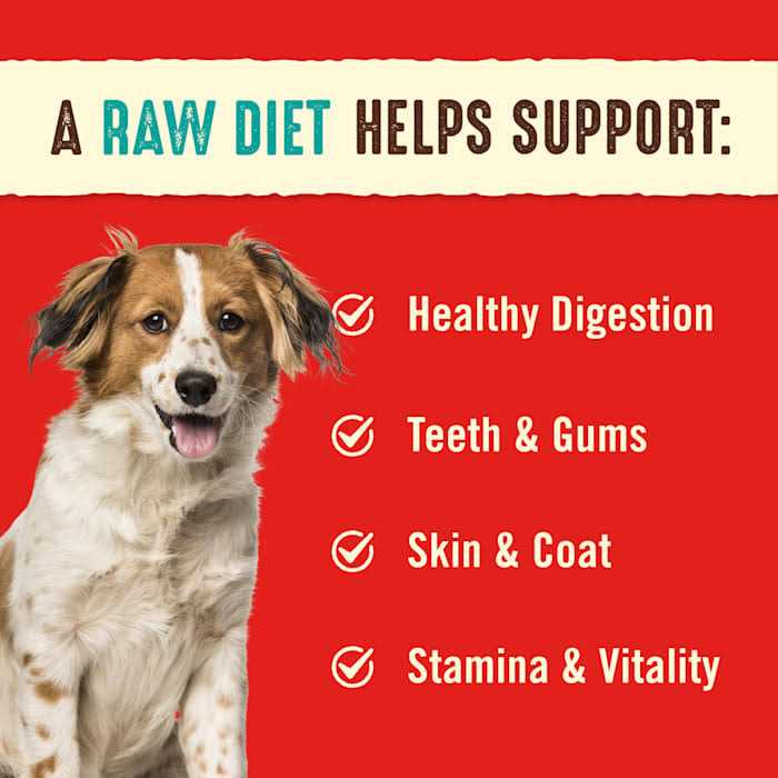Freeze-Dried Dog Food V697853