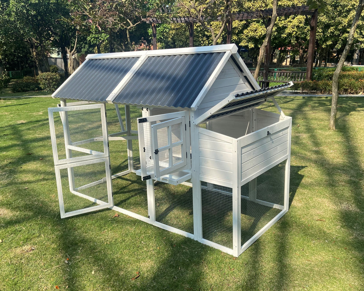 Chicken Coop T52161