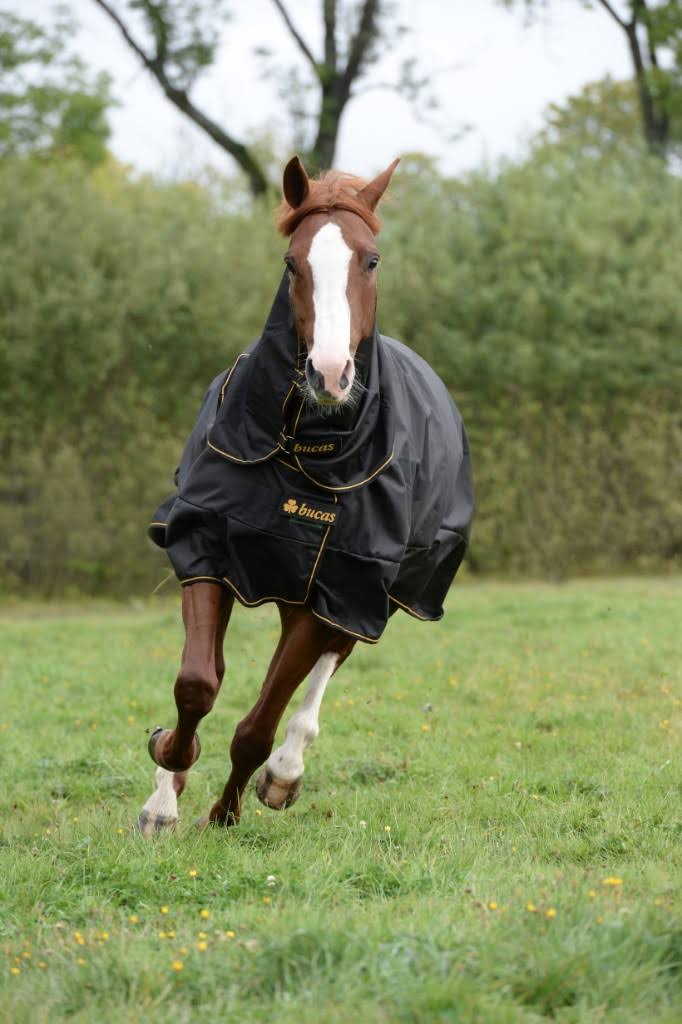 Black Turnout U2928