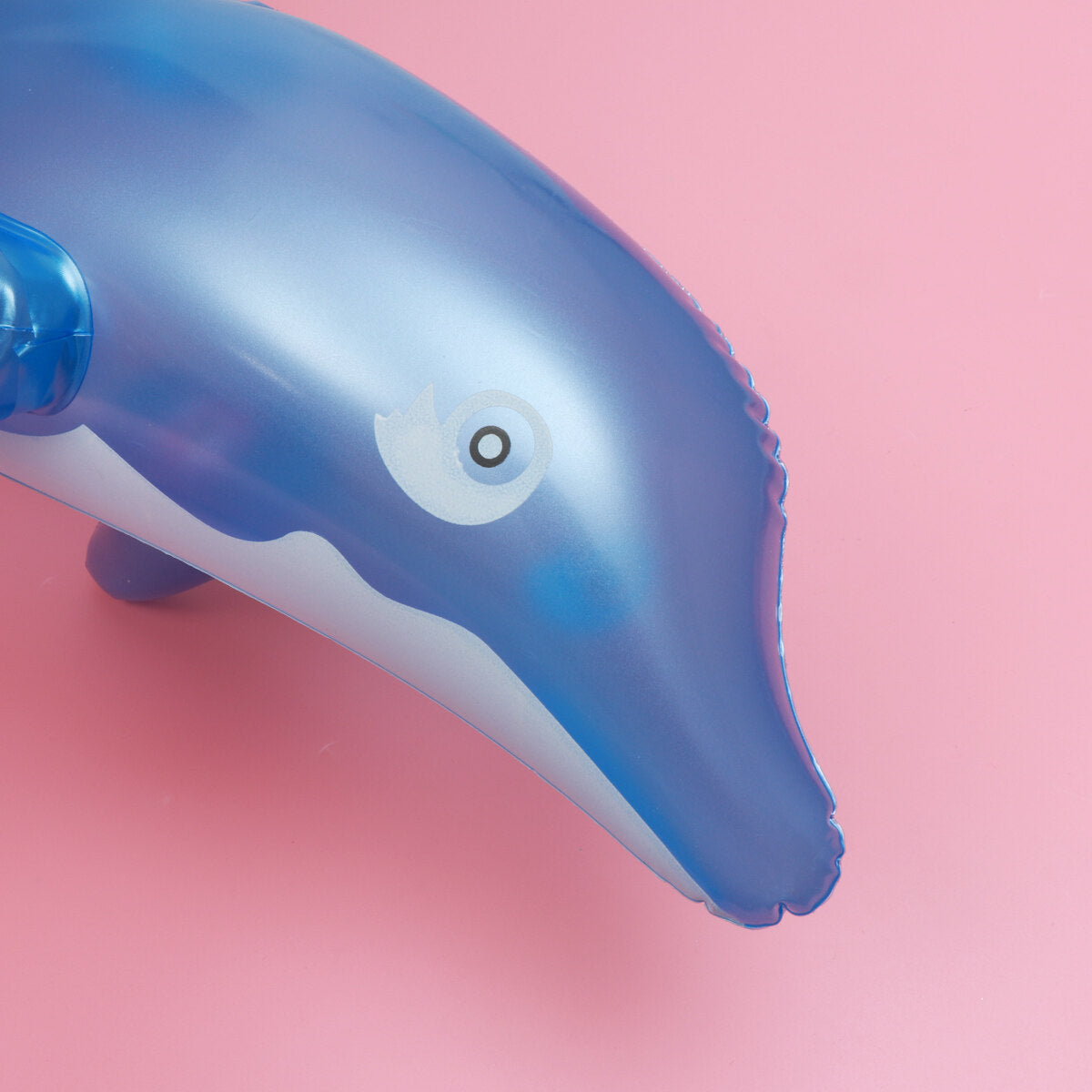 Blue Inflatable Dolphin Pool Toy B482