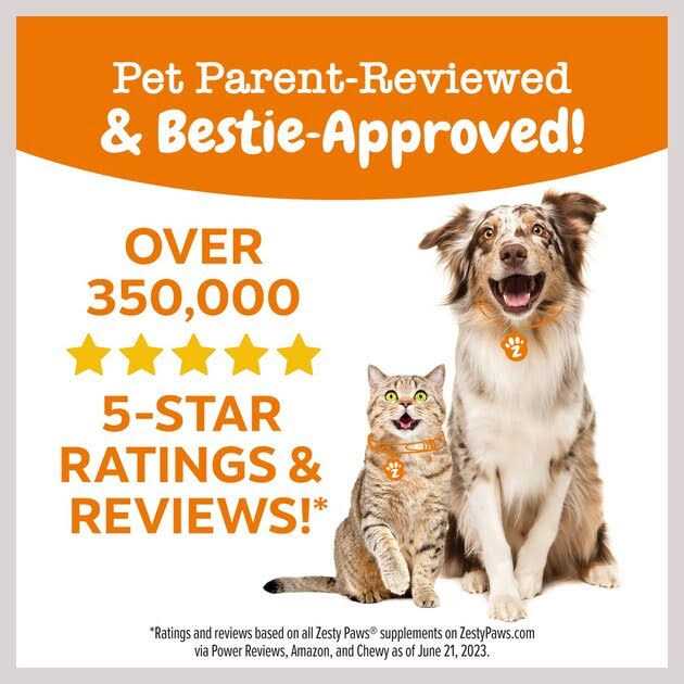 Chicken Soft Chews for Dogs V819