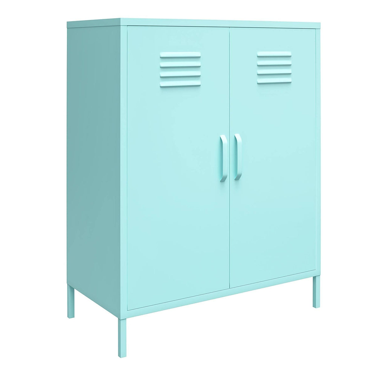 2 Door Metal Locker Storage Cabinet R690356