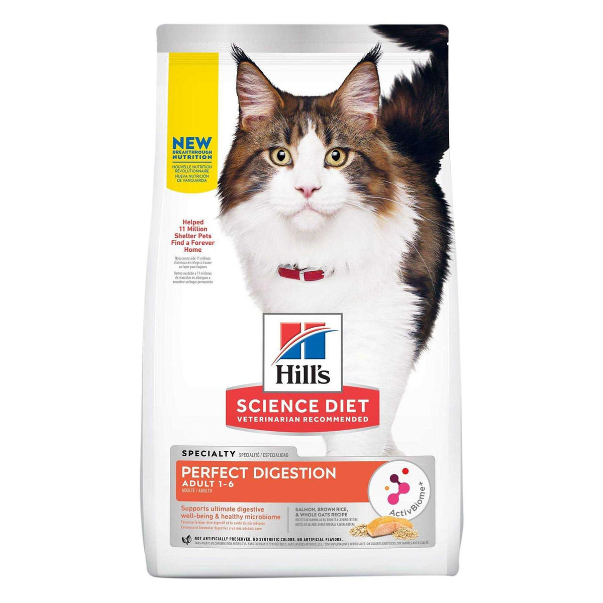 Adult Cat Dry Food Salmon Y31725