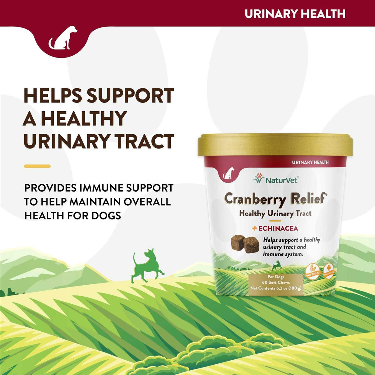 Cranberry Relief Plus Echinacea S9877