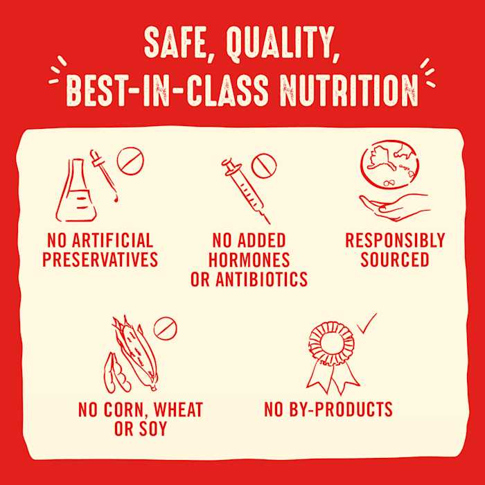 Freeze-Dried Dog Food V697853