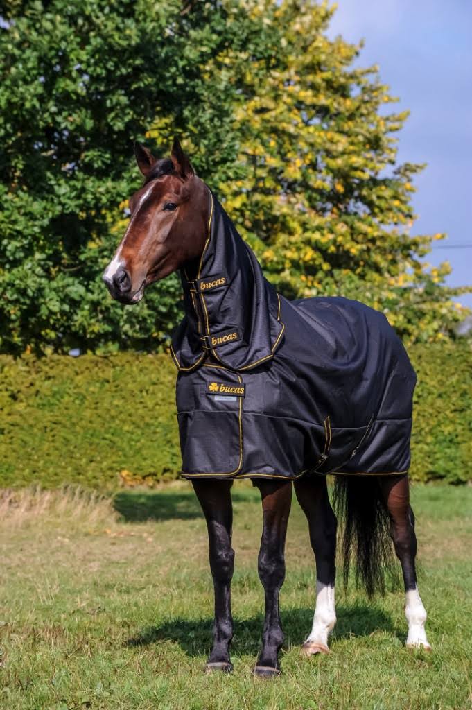 Black Turnout U2928