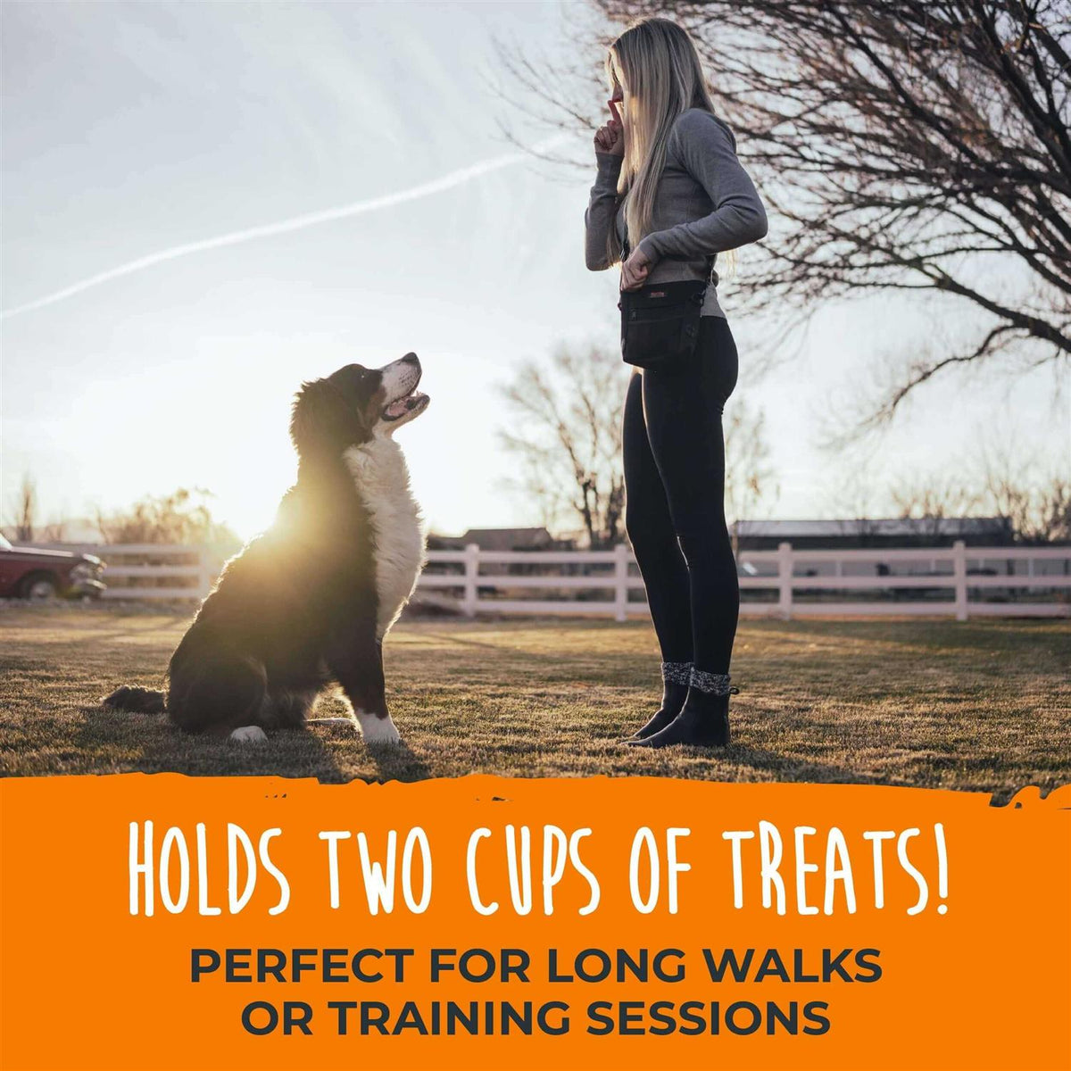 Dog Treat Pouch A975586