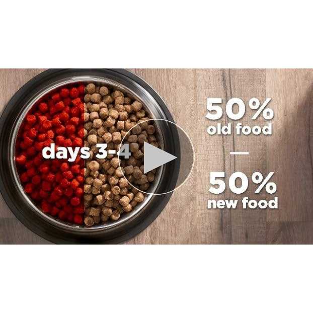 Adult Cat Dry Food Salmon Y31725