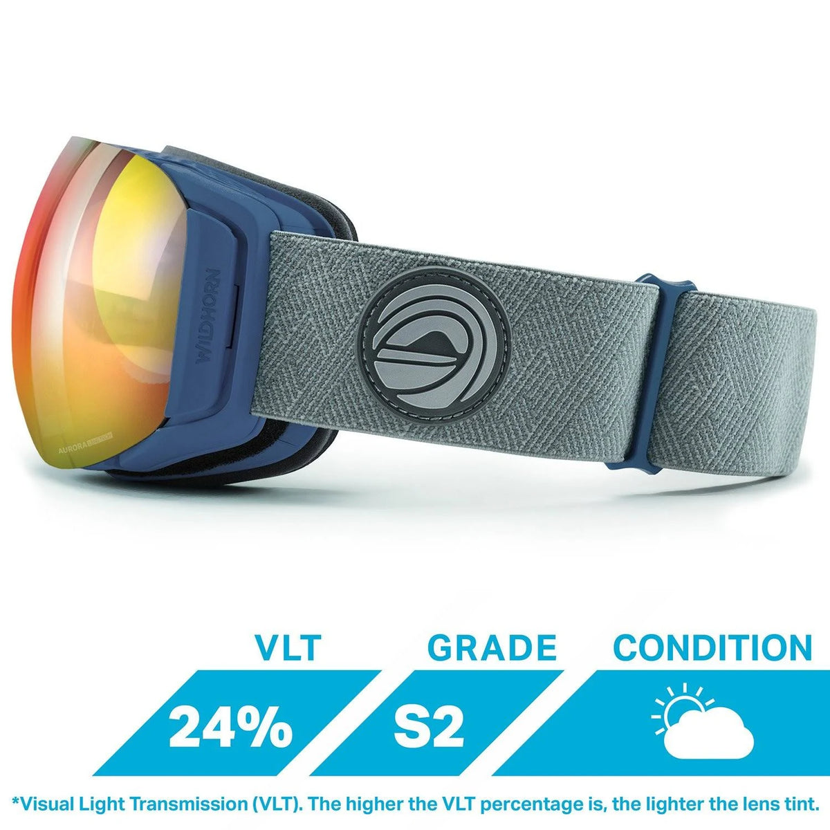 Ski Goggles D326
