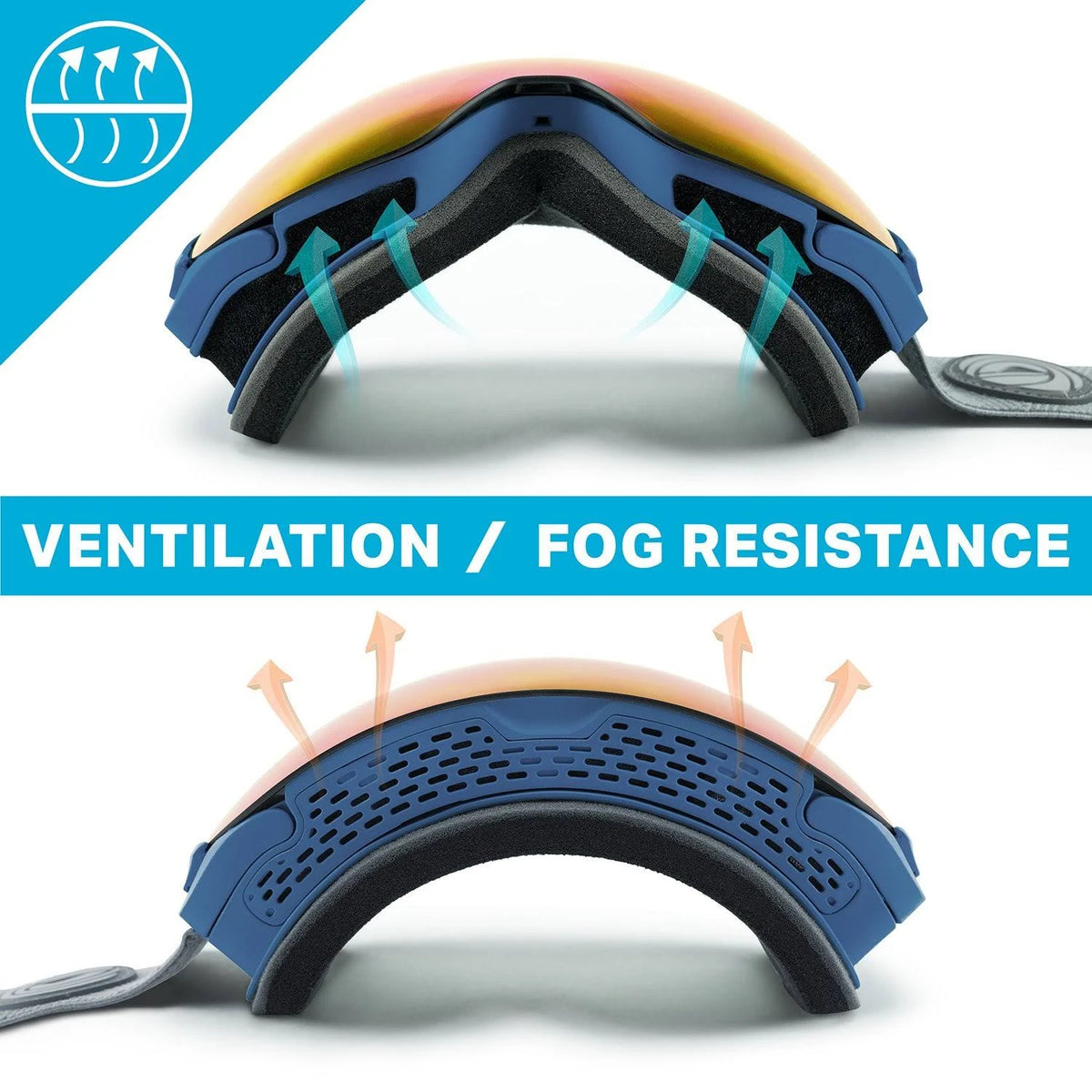Ski Goggles D326