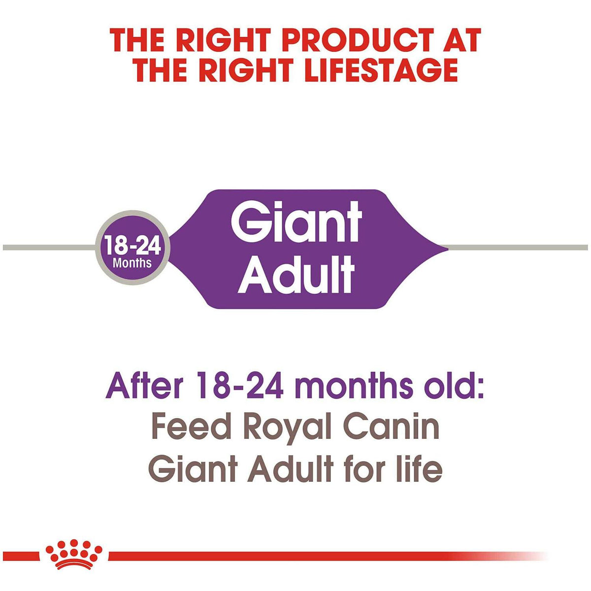 Adult Dog Food A948003