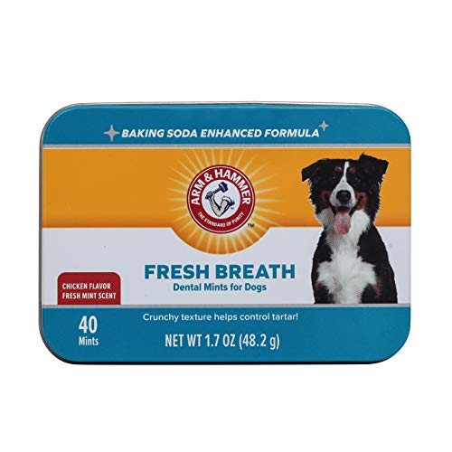 Chicken Flavor Dental Mints for Dogs, 40 Count M3191