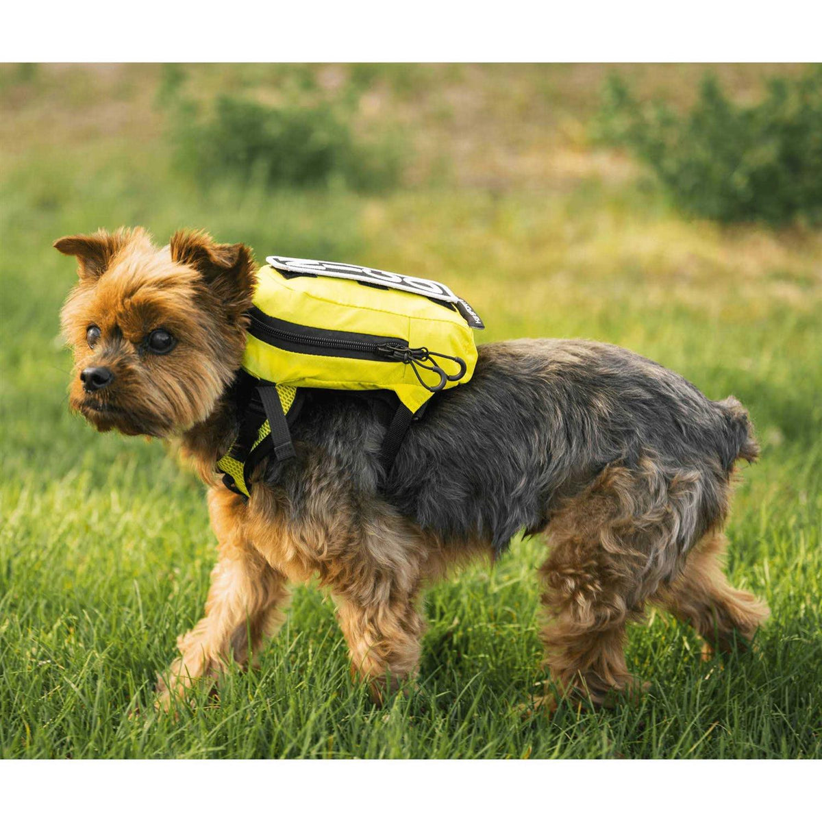 Sport Sack with Harness & Storage E233565