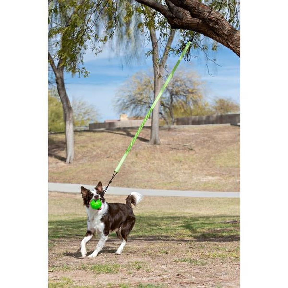 Green Large Bungee C714154