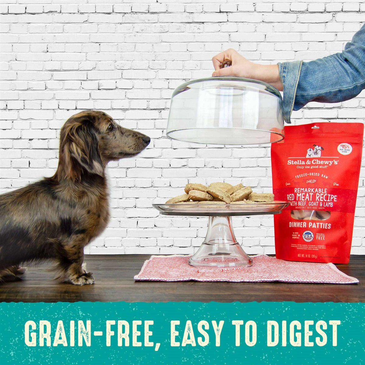 Freeze-Dried Dog Food V697853