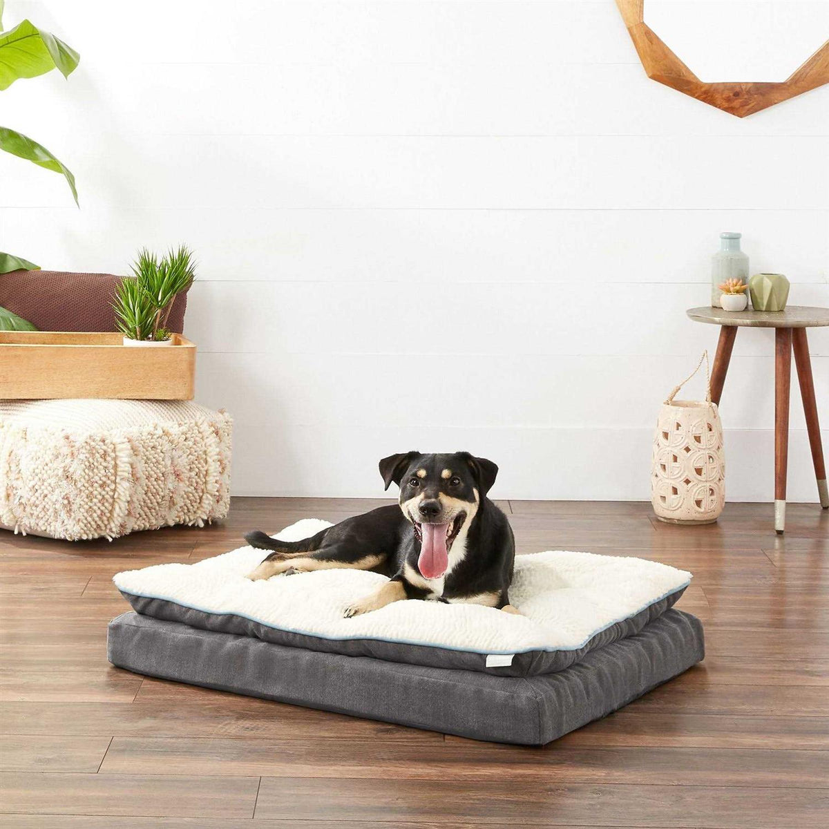 Plush Orthopedic Pillowtop Dog Bed with Removable Cover G23503