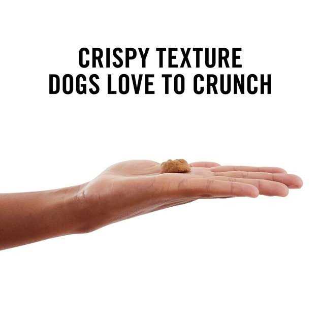 Peanut Butter Grain-Free Oven Baked Crunchy Biscuit Dog Treats C645651