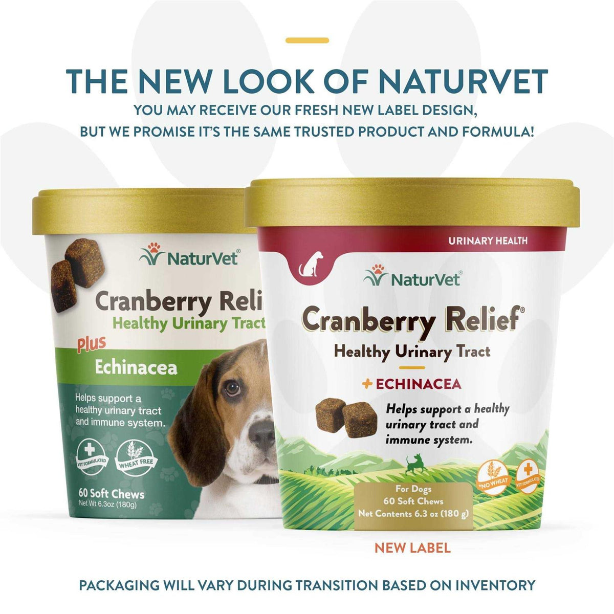 Cranberry Relief Plus Echinacea S9877