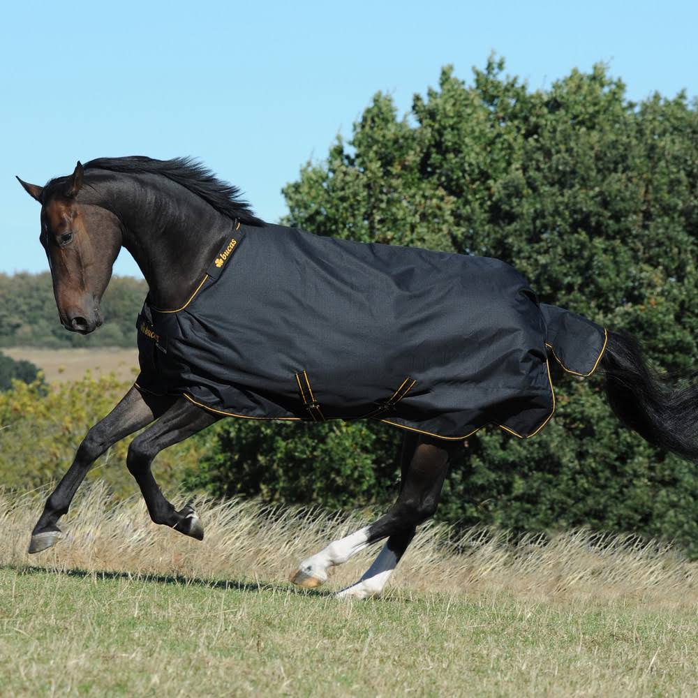 Black Turnout U2928