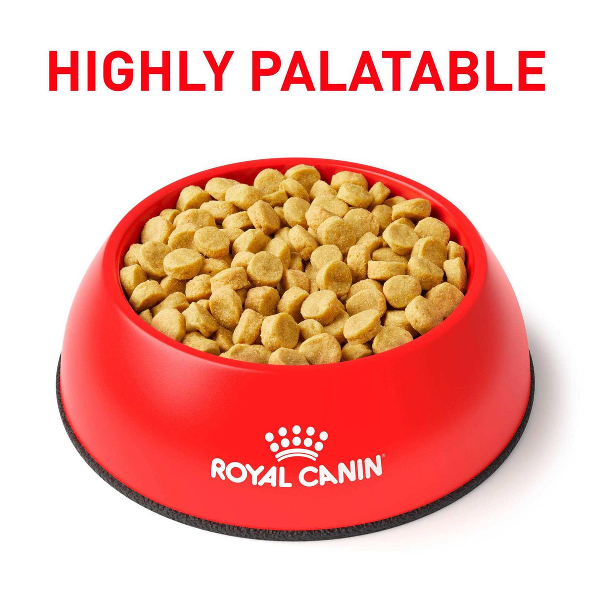Hydrolyzed Protein Dry Dog Food H1780