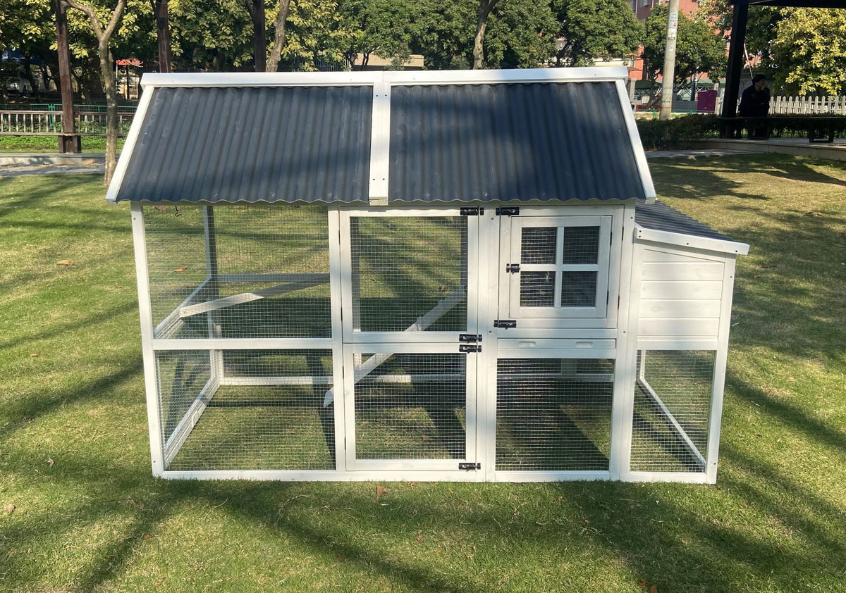 Chicken Coop T52161