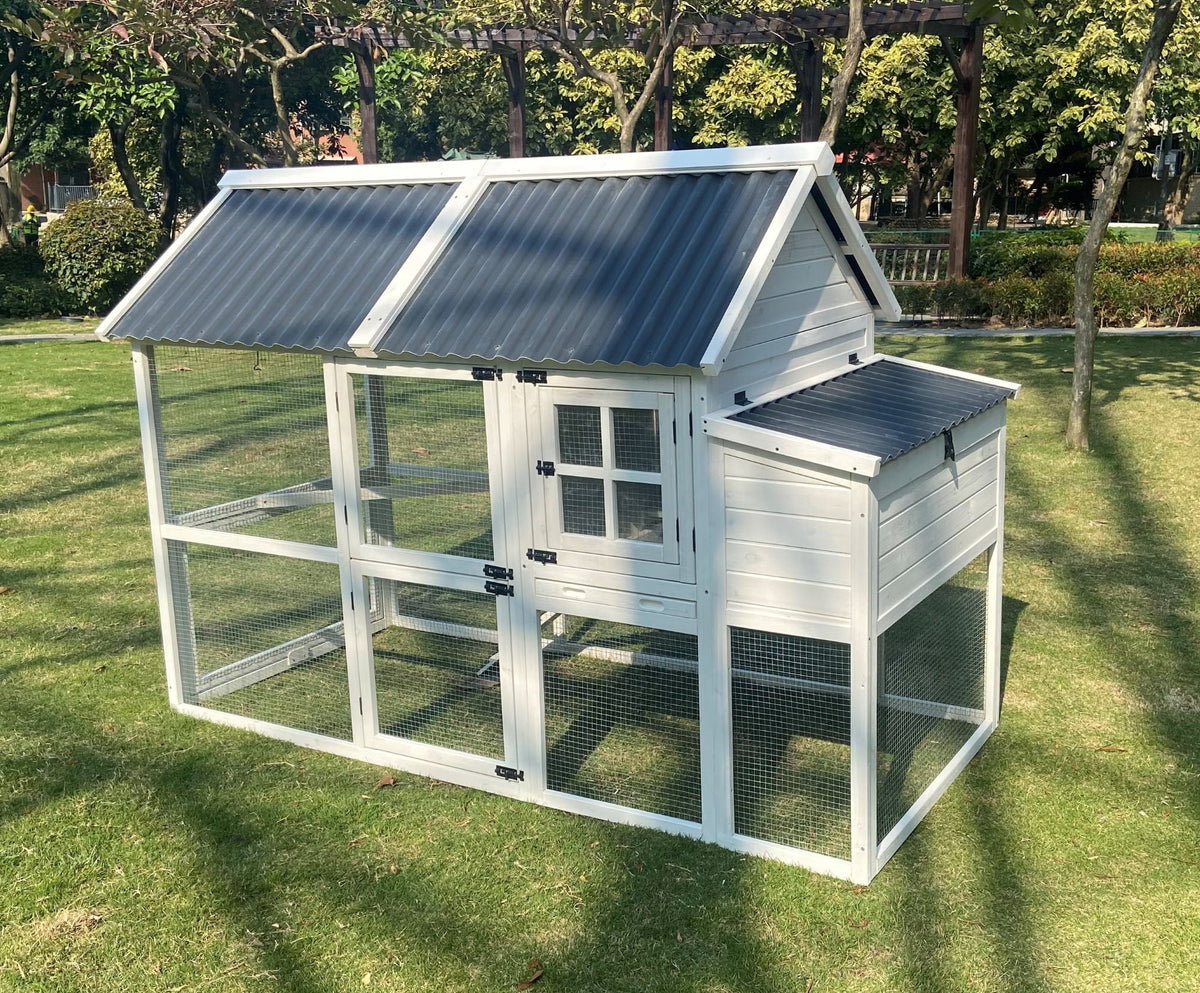 Chicken Coop T52161