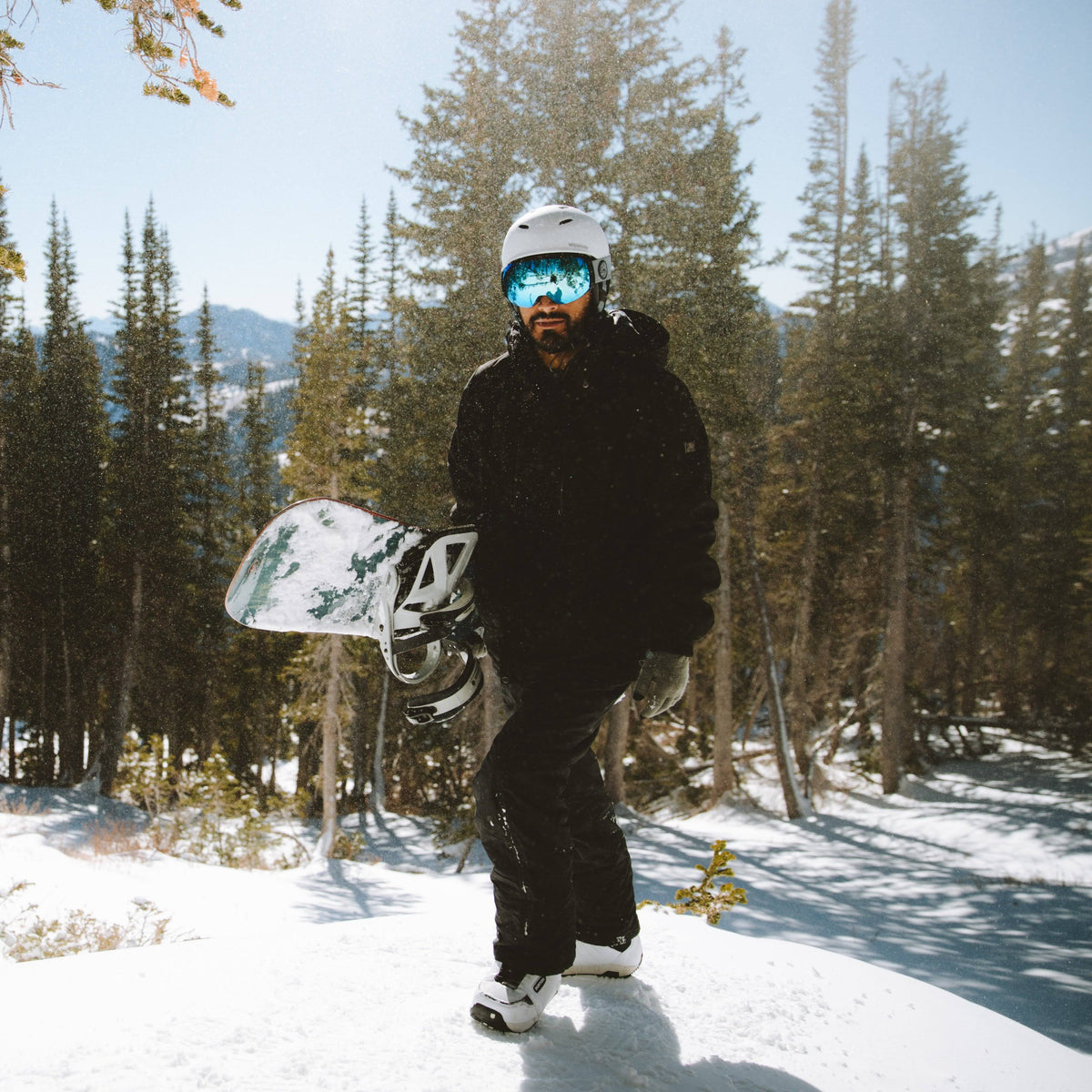 Ski Goggles D326