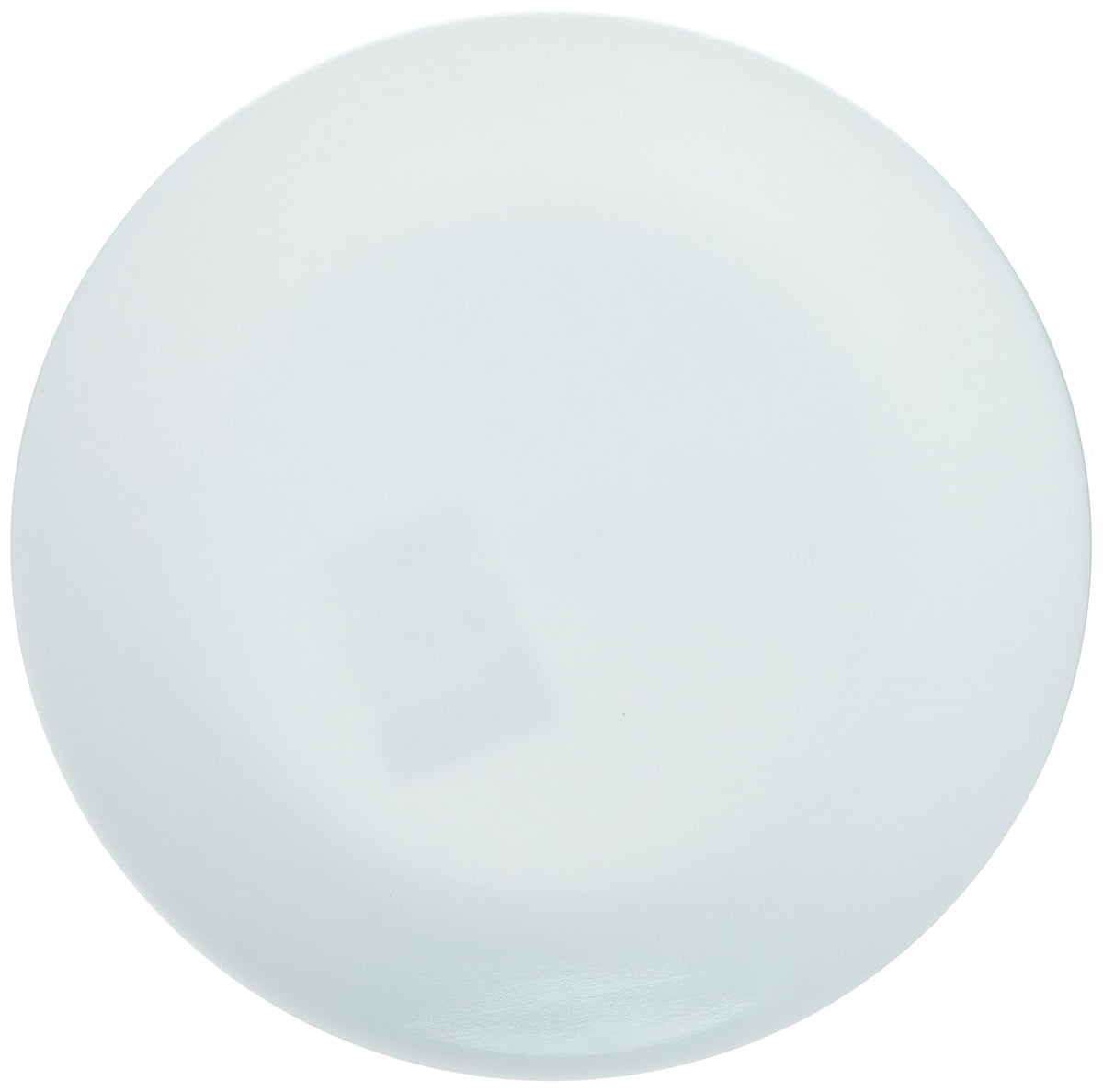 White Dinner Plates 10-1/4" Dia. (Pack of 6) T209