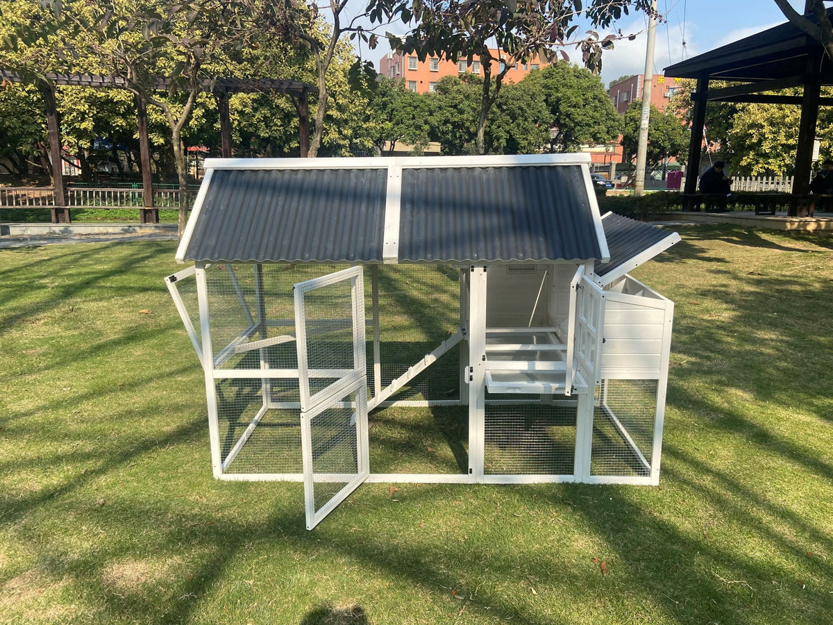 Chicken Coop T52161