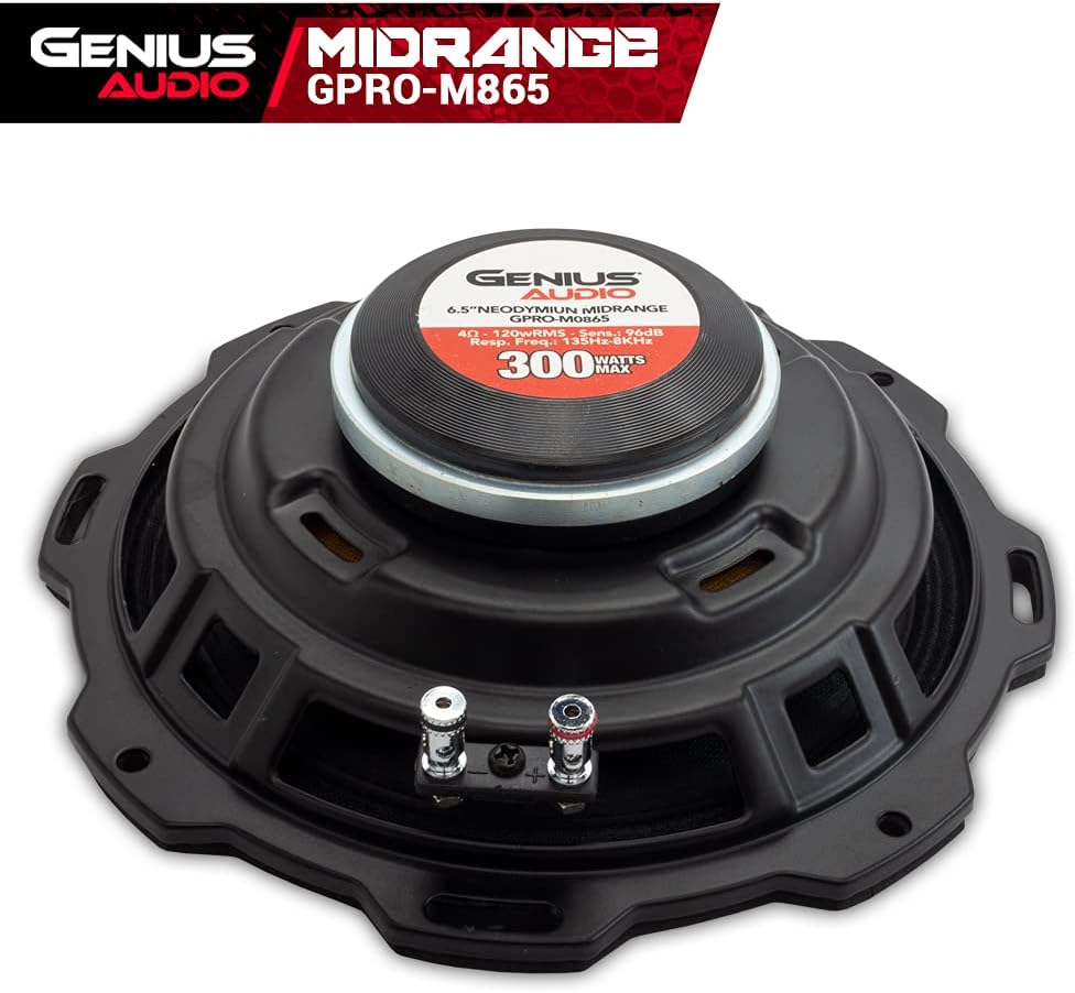 6.5 Midrange Speaker 300 Watts Max 4 Ohm 1 Speaker M699